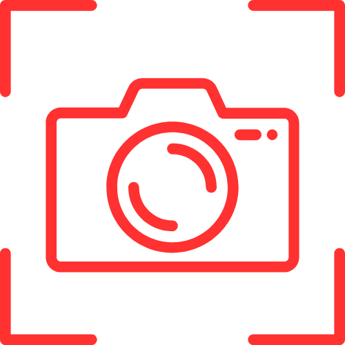 Rabitts Cams